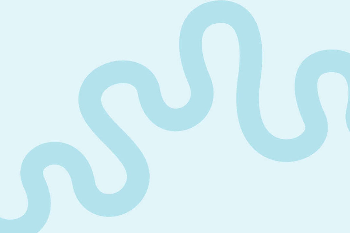 Listen to your gut